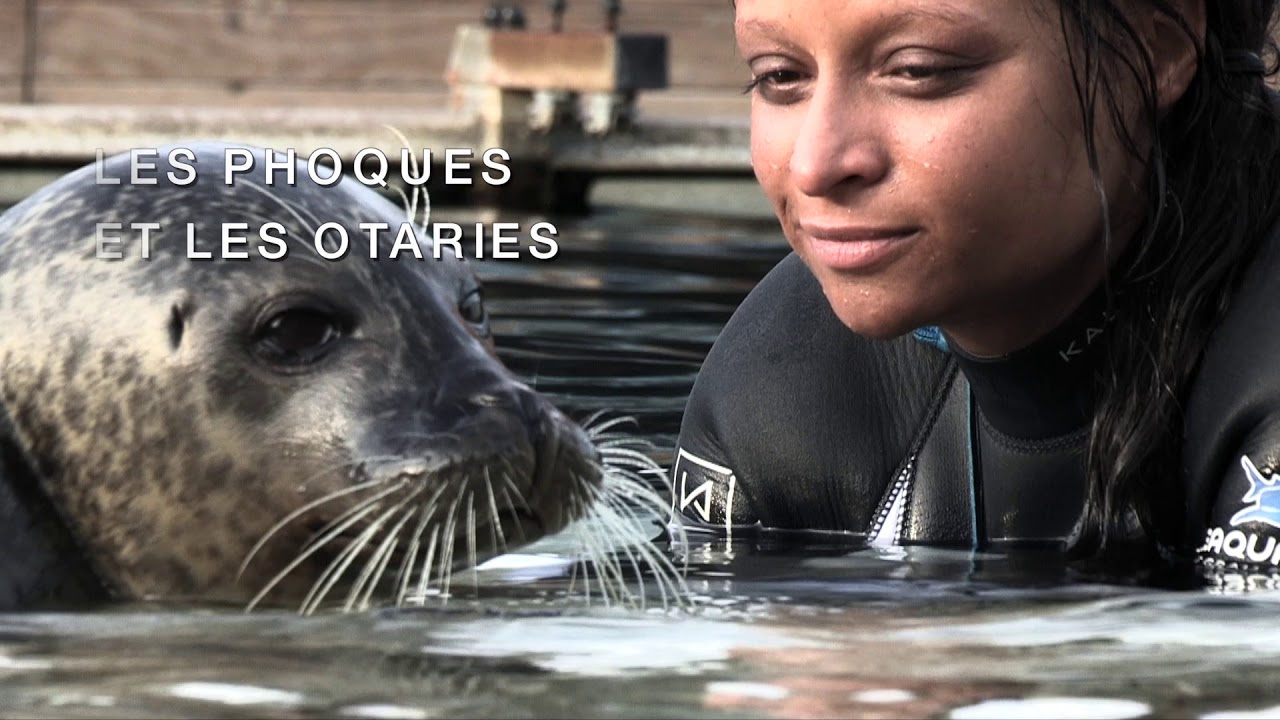 Le Seaquarium au Grau du Roi