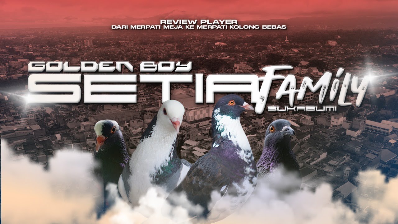 GOLDEN BOY SETIA FAMILY SUKABUMI‼️KAGUYA PEGASUS DKK