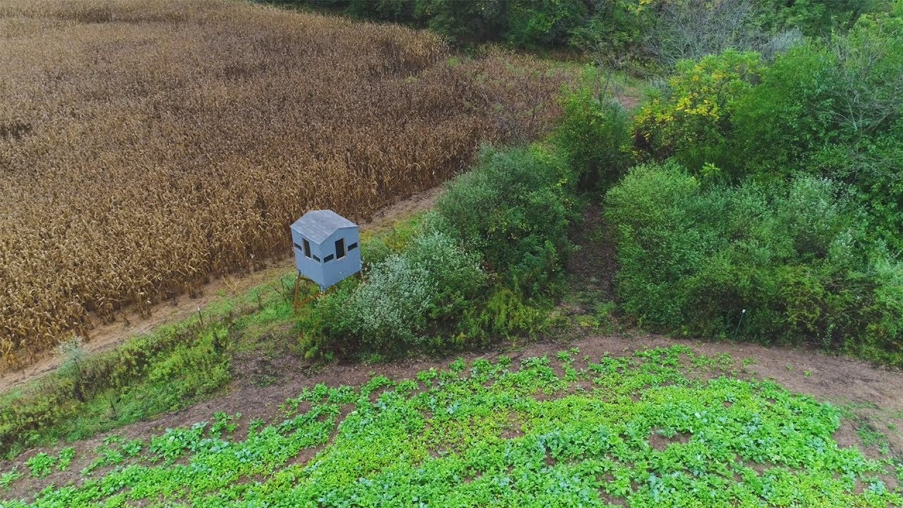 Set Up Hunting Property For Sale In Brown County Illinois YouTube