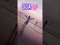 Goa beach vibes