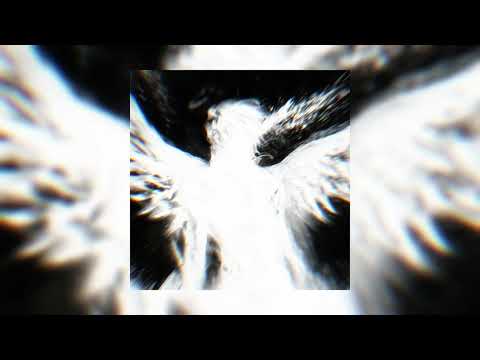OBLIVION ANGELCORE SLOWED