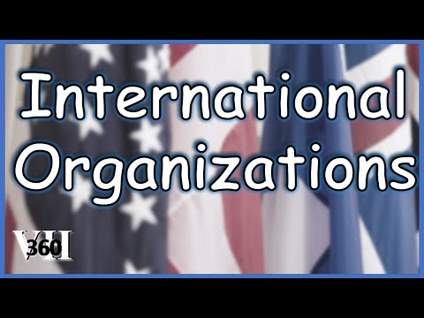 Video: Wat is het verschil tussen IGO's en NGO's?