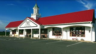 Top 15 Exclusive Antique Stores in Delaware (2022)