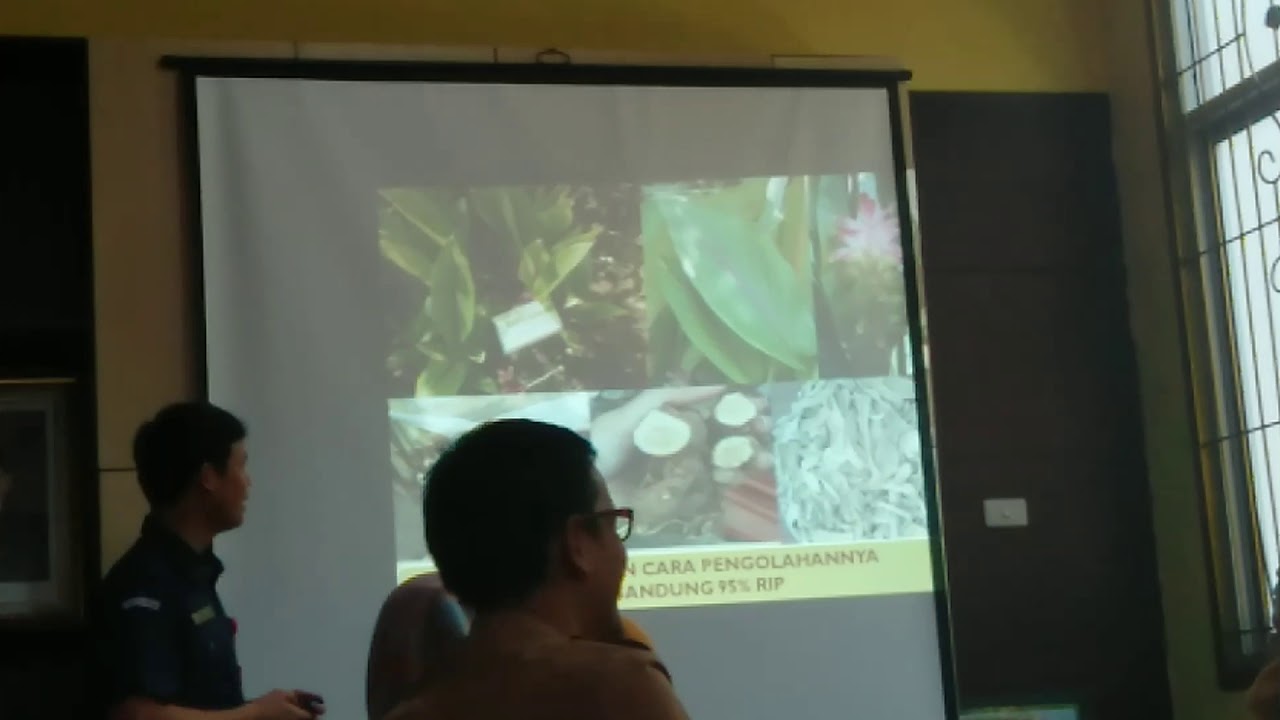 Khasiat temu putih 