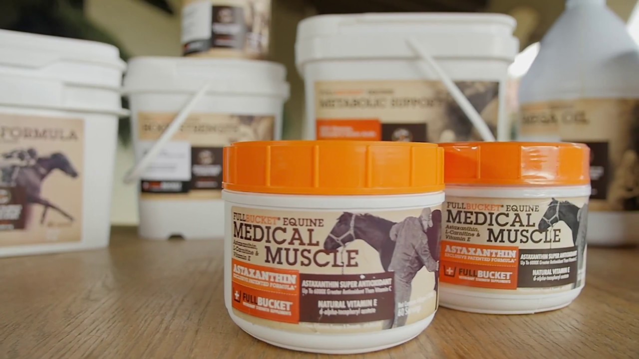 Medical Muscle Antioxidant