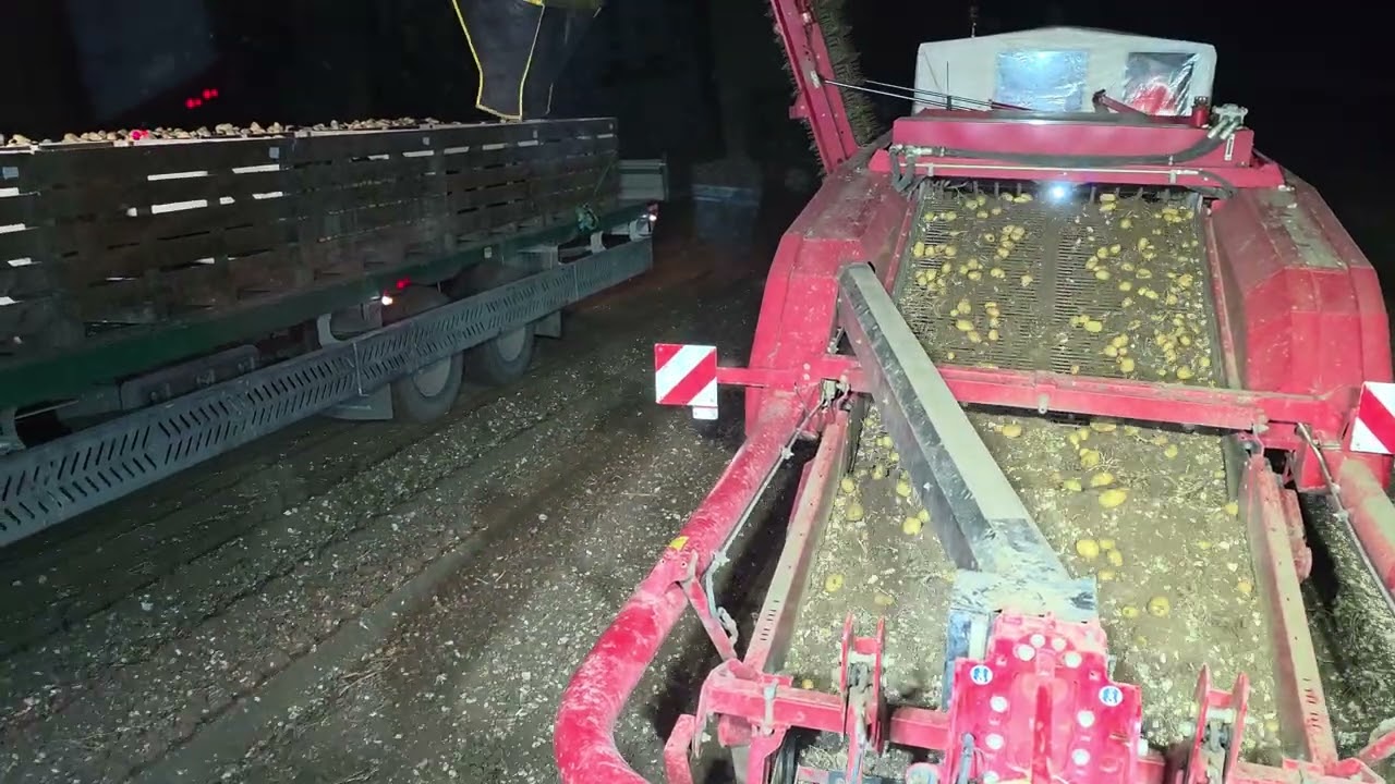 Kopanie ziemniaków 2025   GRIMME GRIMME  170 GT