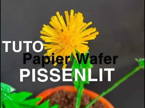 Vidéo: Comment Faire Un Pissenlit En Papier