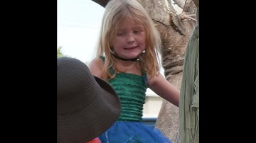 Children’s ideas contribute to quality early learning