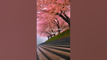 ٱلَّذِين صَبَروا وَعَلَىٰ ربِّهِم يَتوَكَّلُون|سورة النحل|القارئ#عبدالرحمن_مسعد#قرآن#الله#قرآن_كريم