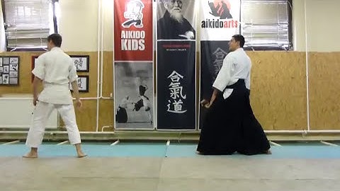 gyakuhanmi katatedori udekimenage ura [TUTORIAL] Aikido empty hand basic technique