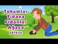 Tohumlar Fidana Fidanlar Ağaca Şarkısı