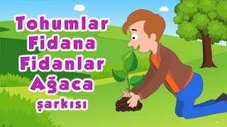 Video thumbnail of "Tohumlar Fidana Fidanlar Ağaca Şarkısı"