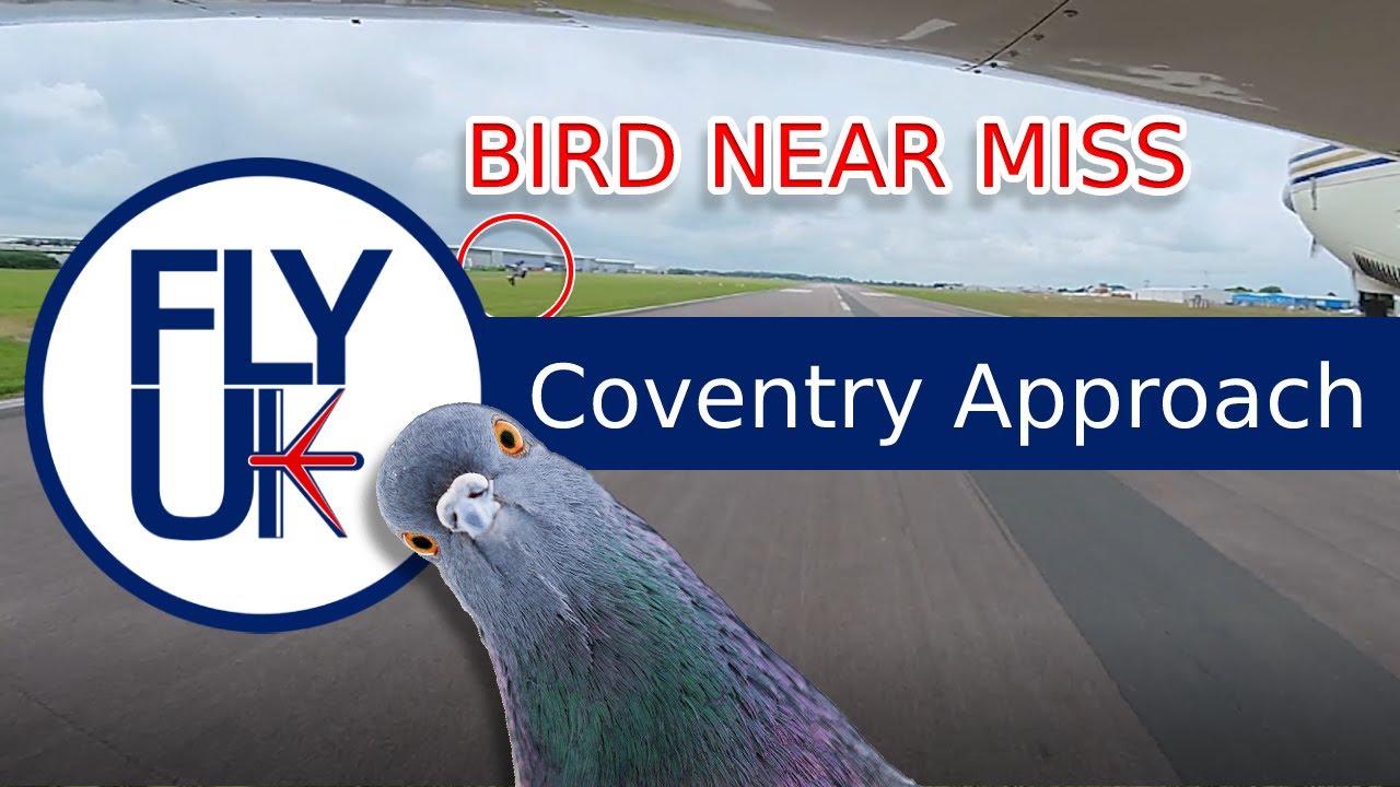 Approach into Coventry Airport - Near Miss with a Bird!