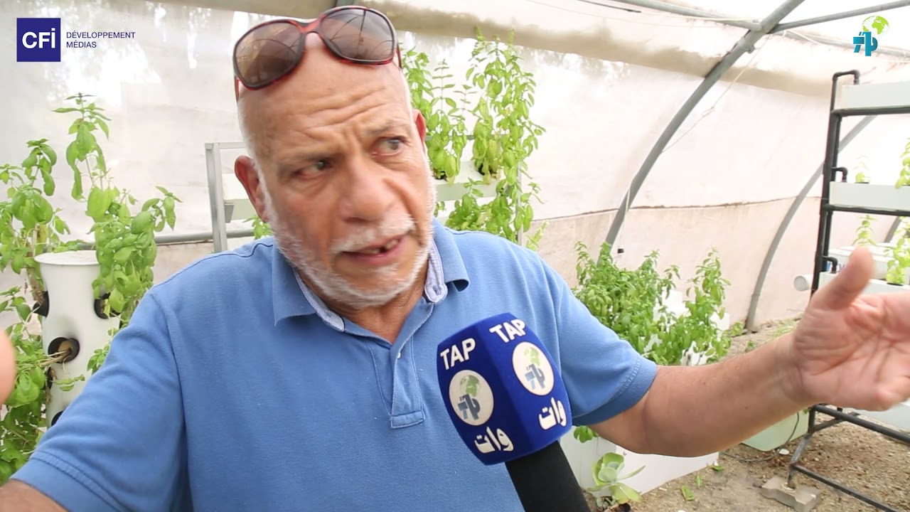 تونس; الزراعة المائية تقنية جديدة لمواجهة أزمة الفلاحة