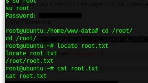 How to export pty terminal using python