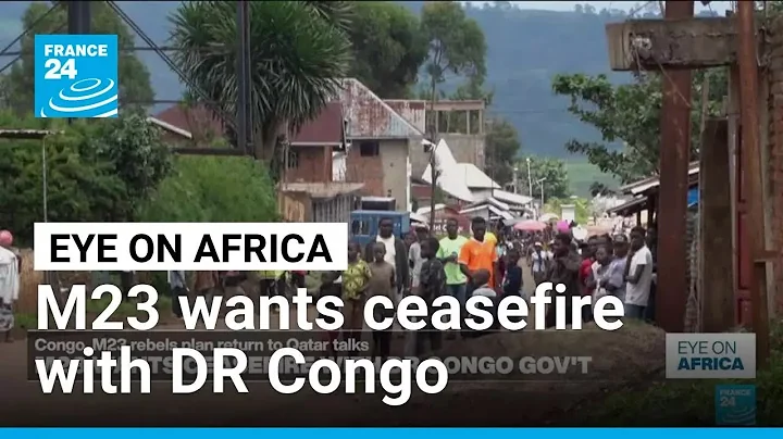 M23 says it wants ceasefire deal with DR Congo's government • FRANCE 24 English
