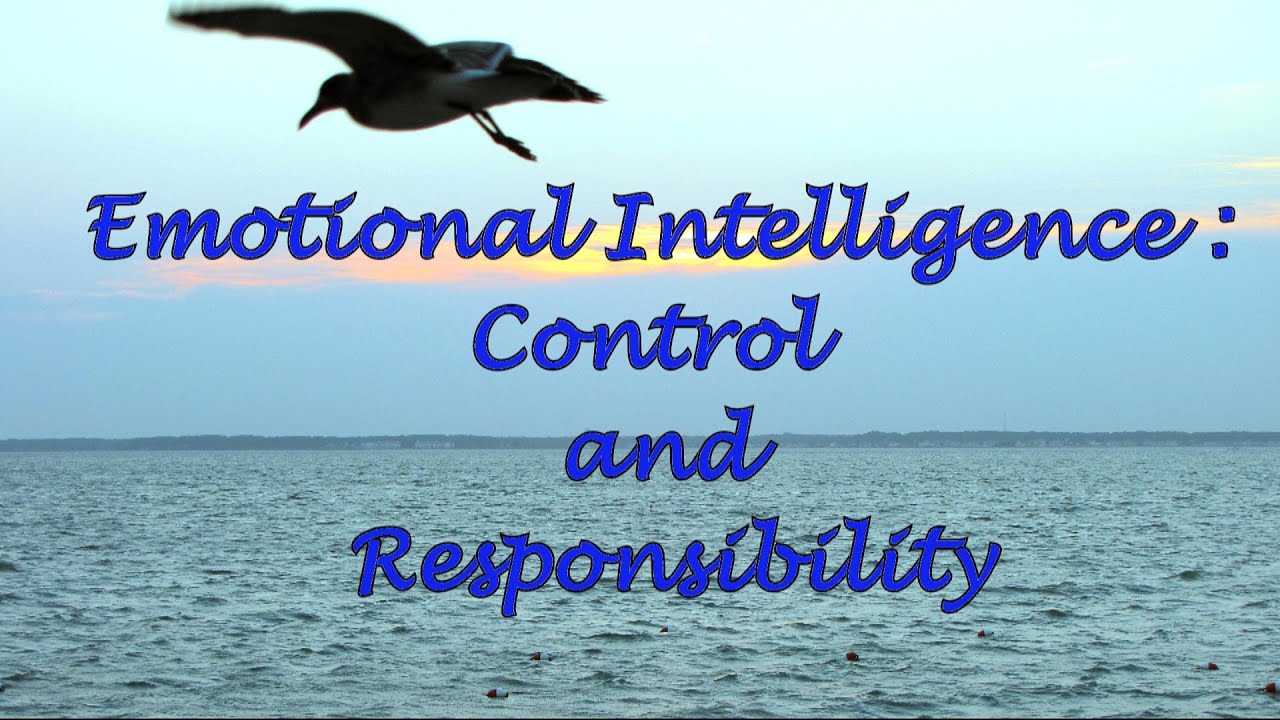 Emotional Intelligence: Control and Responsibility