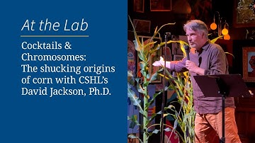 Cocktails & Chromosomes: The shucking origins of corn with CSHL’s David Jackson, Ph.D.