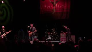 Toadies - "Mr. Love" live at House of Blues, Houston, TX 11/05/2021