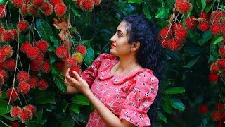 Manisan Rambutan Merah🍷 Sekali lagi saya membuat resep rambutan termanis untuk suguhan Tahun Baru! #memasak 