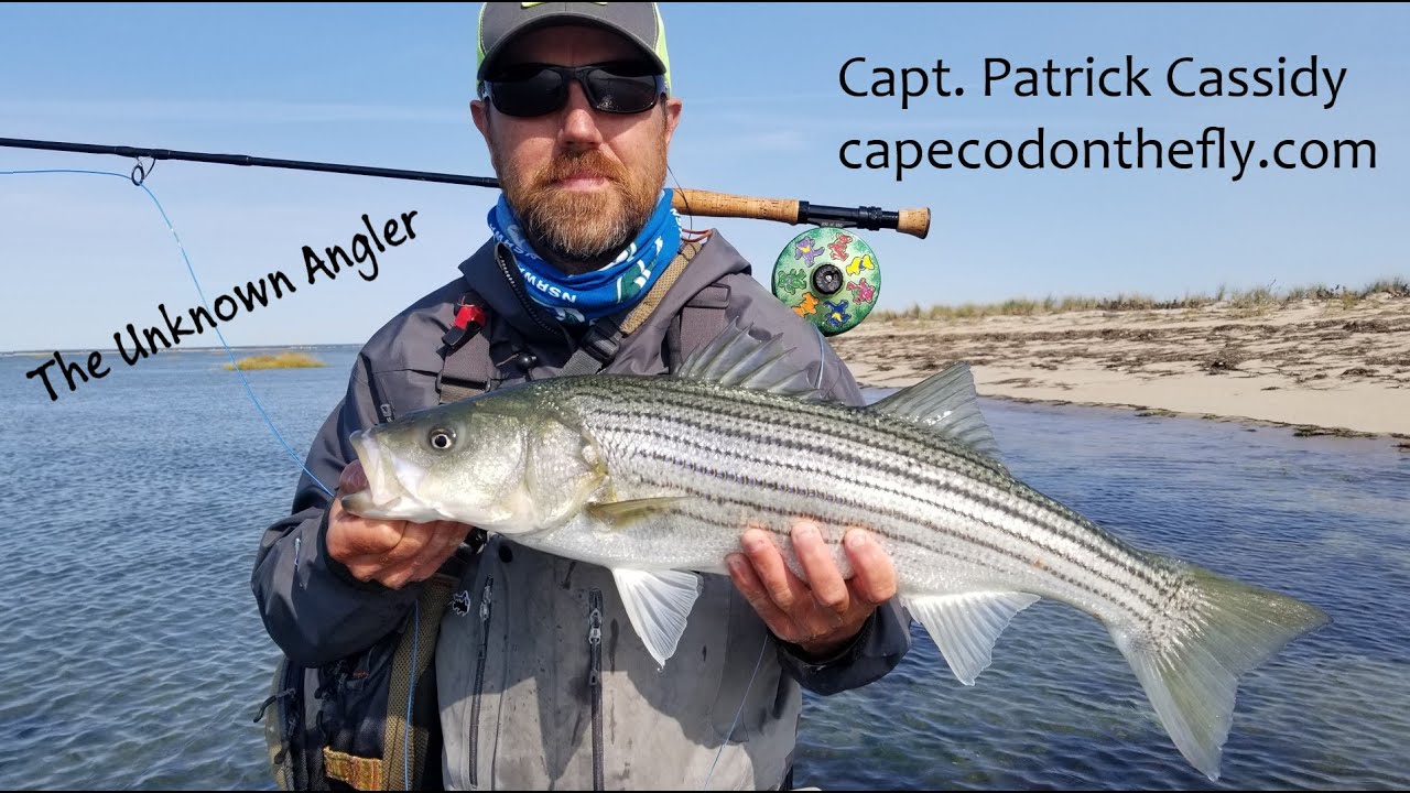 Striper fishing with Cape Cod on the Fly YouTube