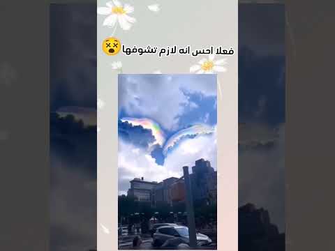 ياريت نشوفها في الاحلام 