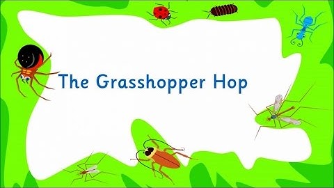 Kidzone - The Grasshopper Hop