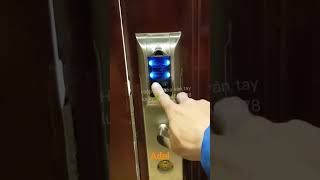Adel smart door lock