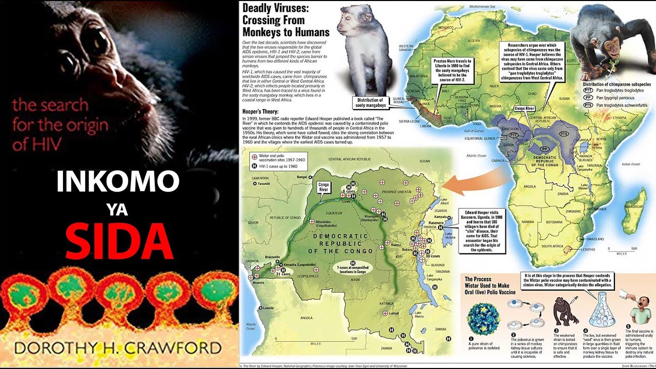 Menya inkomoko ya SIDA 100 by MWANAFUNZI Ismael YouTube