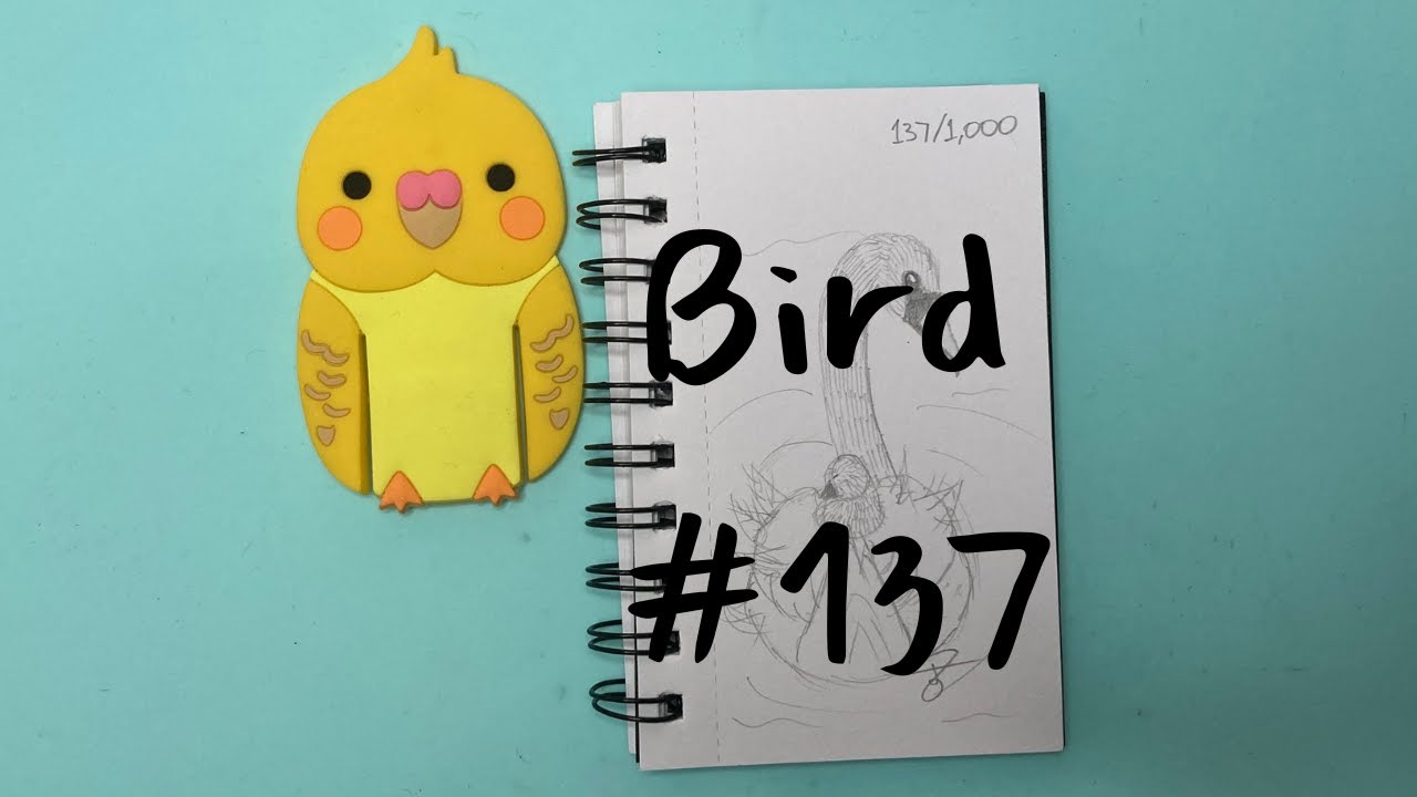 Draw 1,000 Birds With Me Swan 7 of 10 - YouTube