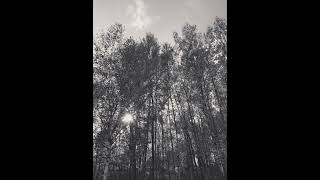 картинка: Химера - Вороны (slowed + reverb)