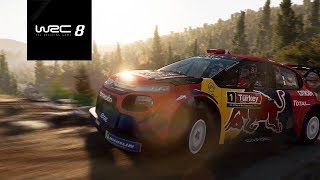 WRC 8 - now on NINTENDO SWITCH