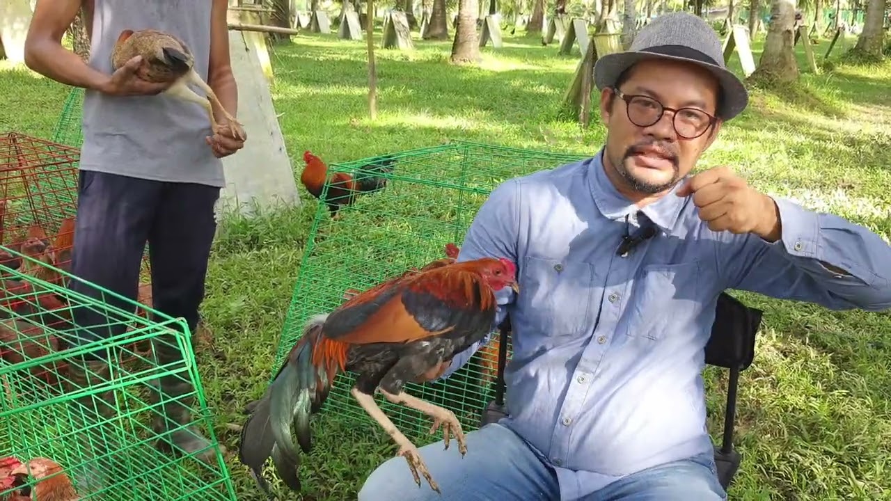 Paano ang Tamang Pagpili ng Breeding Materials