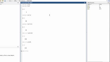 Setting Variables in Matlab
