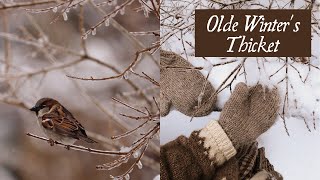 Olde Winter&#39;s Thicket