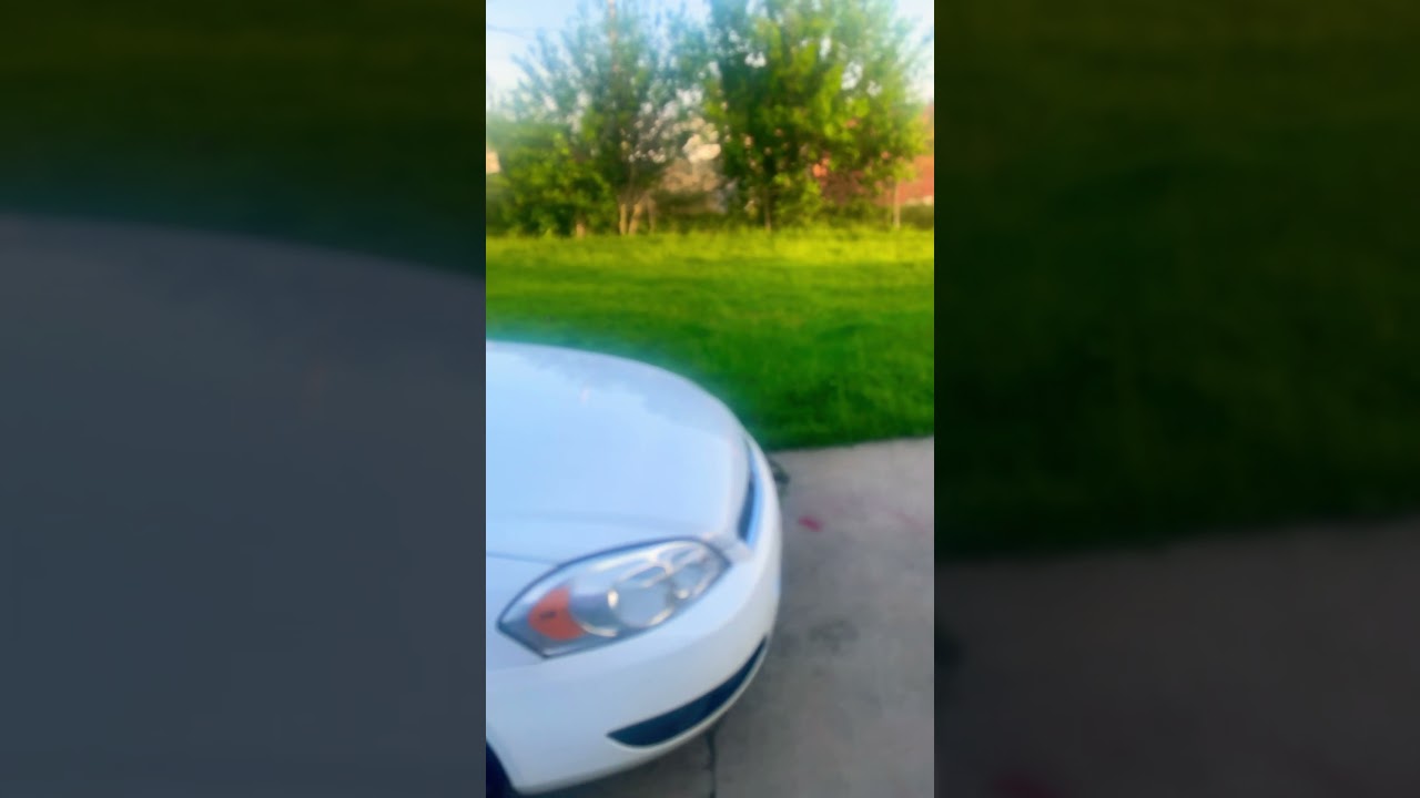 Gods rain brings life