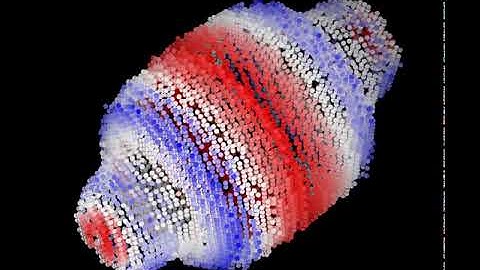 MVP-ENM modeling of vault