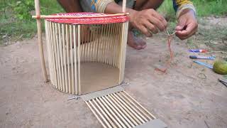 Easy Parrot Trap With Single Door Close Using Card Board Cage Tools