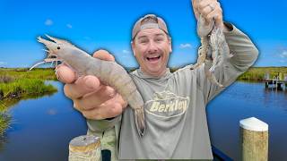 Catching MASSIVE Shrimp on This Public Pier! Catch and Cook