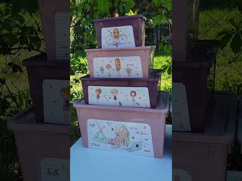 Контейнер "Smart Box" з декором 27л. (сірий, Динозавр), 49.4 x 32.2 x 26.5 см, Алеана, видео 2