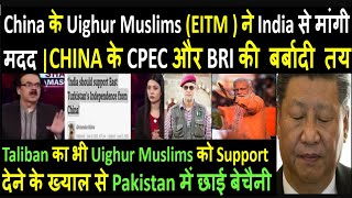 China के Uighur Muslims  ने India से मांगी मदद | CHINA के CPEC और BRI की बर्बादी तय | Pak media