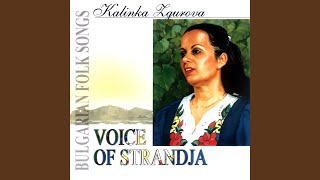 Download Lagu Peyu v diugenet sedeshe MP3