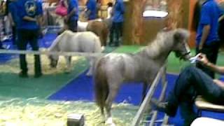 20100828(001).mp4
