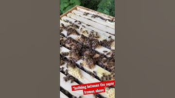 Can i use 9-frame and 10-frame equipment together?