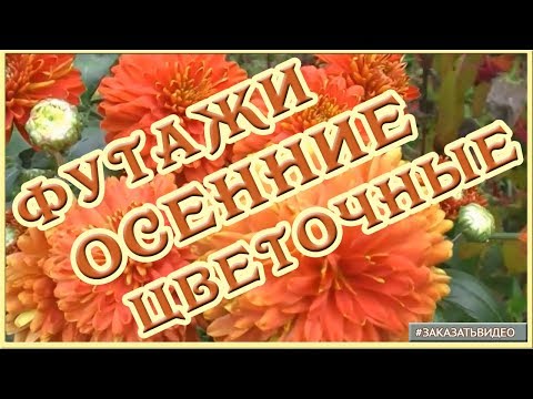 🌿 🍁 Футажи цветочные осенние 🌿 🍁 Натуральные видеофоны для видеомонтажа HD 🌿 🍁 🌿