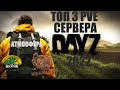 DayZ Standalone - ТОП 3 PVE СЕРВЕРА - Обзор серверов 2022