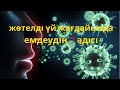 Үй жағдайында жөтелді емдеу! 7әдіспен ТАМАҚ ауруын емдеңіз!