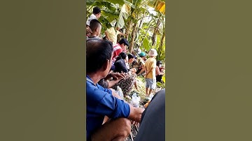 Chấn động vùng quê người Đàn Ông 40 tuổi đi mò ốc mất tích chưa tìm thấy