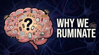 Why Your Brain Replays Embarrassing Moments at Night News
