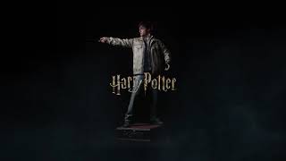 Harry Potter Life Size figure with silicon head